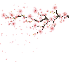 Image showing Pink sakura flowers isolated on white. EPS 10