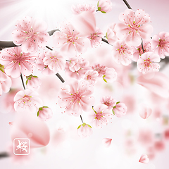 Image showing Cherry blossom realistic, sakura. EPS 10