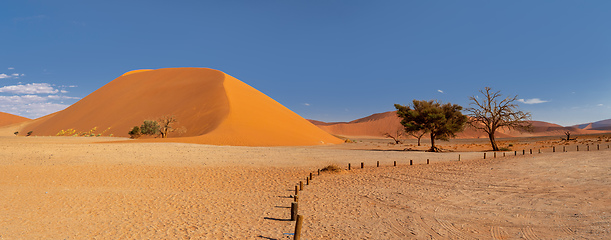 Image showing Dune 45 in Sossusvlei, Namibia desert