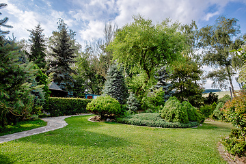 Image showing Beautiful colored summer garden