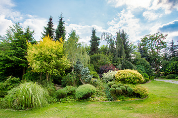 Image showing Beautiful colored summer garden