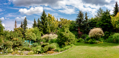 Image showing Beautiful colored summer garden