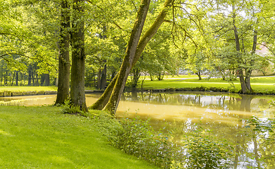 Image showing idyllic park scenery