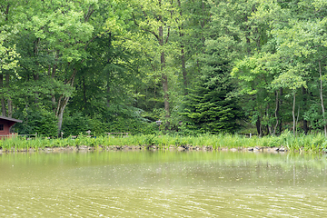 Image showing sunny lake scenery