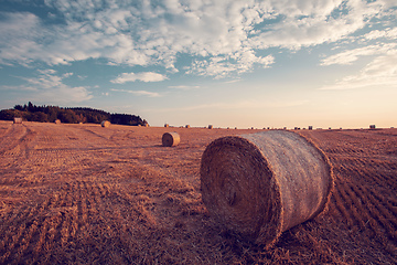 Image showing harvested field with straw bales in summer