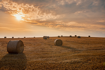 Image showing harvested field with straw bales in summer