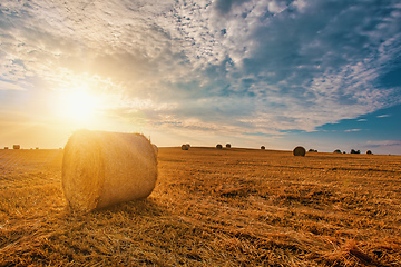 Image showing harvested field with straw bales in summer