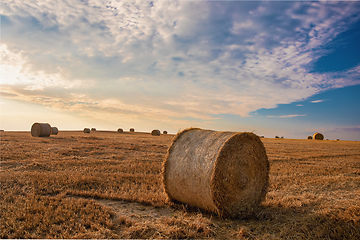 Image showing harvested field with straw bales in summer