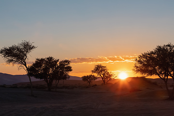 Image showing sunrise landscape Hidden Vlei in Namibia, Africa