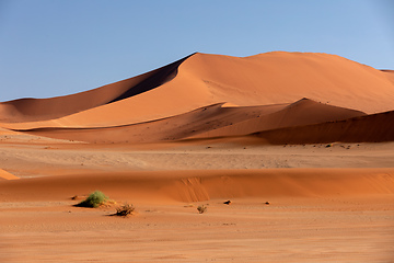 Image showing beautiful landscape Hidden Vlei in Namibia Africa