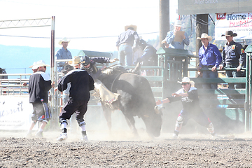 Image showing Ty Pozzobon Invitational PBR