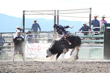 Image showing Ty Pozzobon Invitational PBR