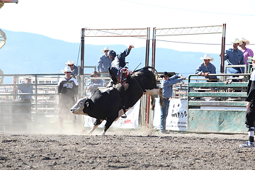 Image showing Ty Pozzobon Invitational PBR