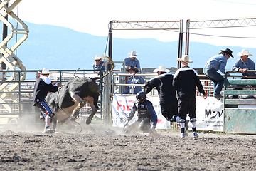 Image showing Ty Pozzobon Invitational PBR