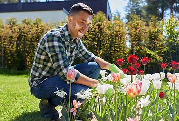 Image showing man with vitiligo growing flowers at garden