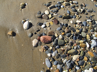 Image showing Wet sea pebbles on the sand