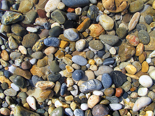 Image showing Wet different sea pebbles on the beach