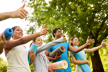 Image showing group of happy people with yoga mats at park