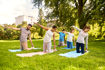 Image showing group of people doing yoga at summer park