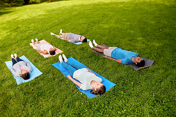 Image showing group of people doing yoga at summer park