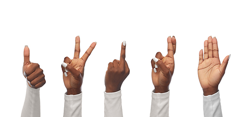 Image showing hands of african woman showing various gestures