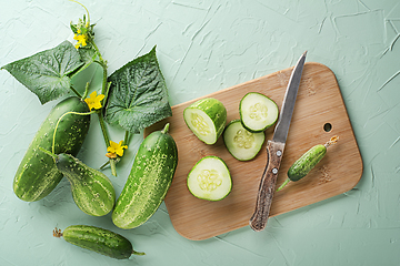 Image showing Slicing cucumber 