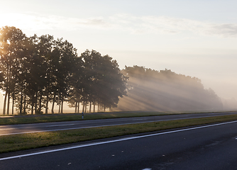 Image showing trees during dawn