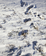 Image showing Snow drifts in winter