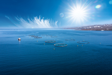 Image showing Farm salmon fishing in Norway