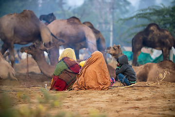 Image showing Camels at the Pushkar Fair, also called the Pushkar Camel Fair o