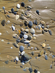 Image showing Wet sea pebbles on the sand