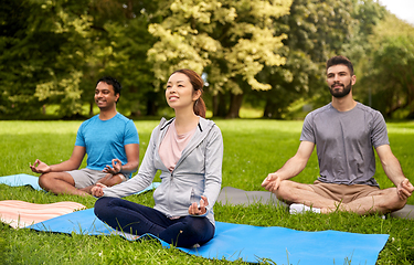 Image showing group of people doing yoga at summer park