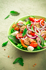 Image showing Tuna salad with mozzarella, onions and Japanese mustard greens