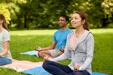 Image showing group of people doing yoga at summer park