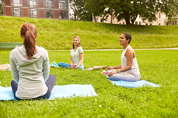 Image showing group of people sitting on yoga mats at park