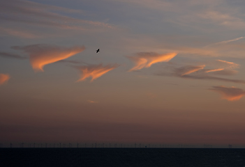 Image showing Evening Sky over English Channel