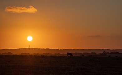 Image showing Sun Setting over Newhaven Radio Mast