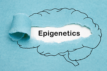 Image showing Epigenetics Drawn Human Brain Concept