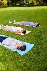 Image showing group of people doing yoga at summer park