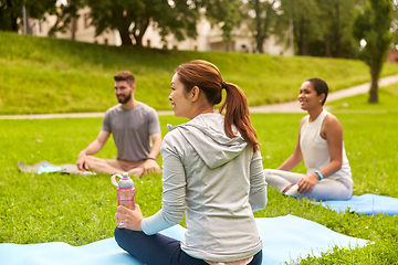 Image showing group of people sitting on yoga mats at park