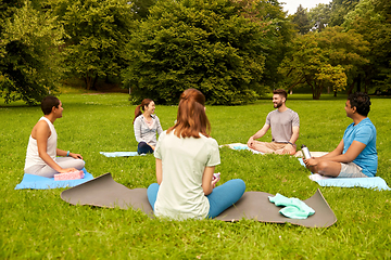 Image showing group of people sitting on yoga mats at park