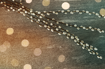 Image showing pussy willow branches on stone background