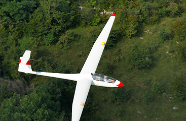 Image showing A glider Janus A flying over Alps forest