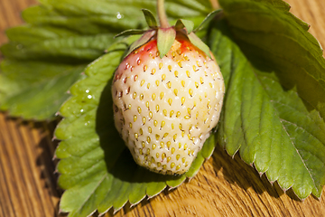 Image showing white unripe strawberry