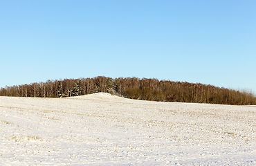 Image showing land covered with snow