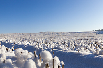 Image showing Snow covered field