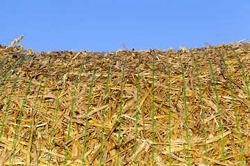 Image showing knotted straw