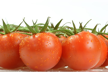 Image showing Tomatoes