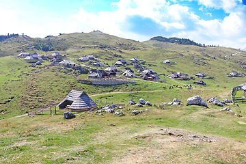 Image showing Herdsmens huts and cows on the Big Mountain Plateau in Slovenia 