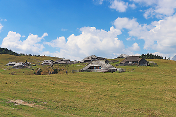 Image showing Herdsmens huts and cows on the Big Mountain Plateau in Slovenia 